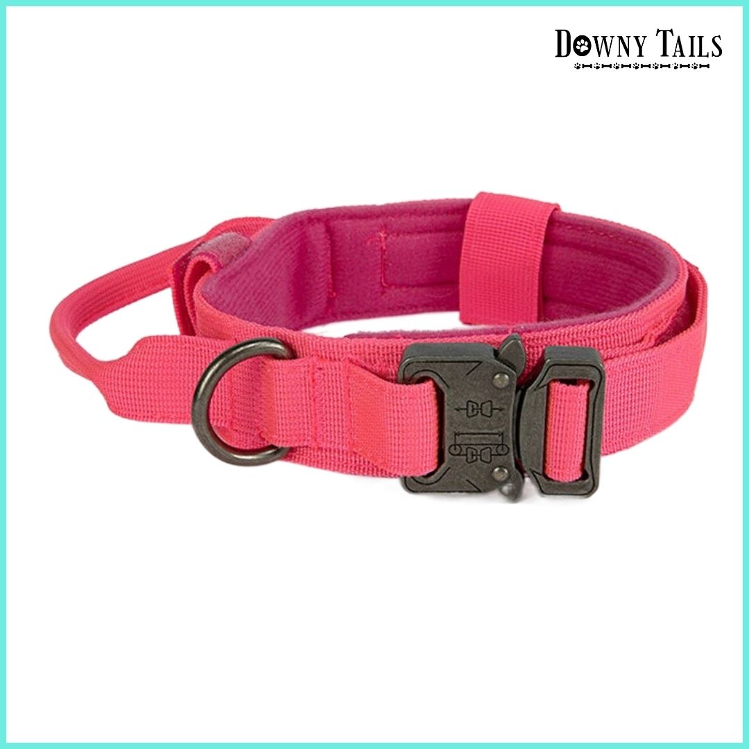 Pet Collar