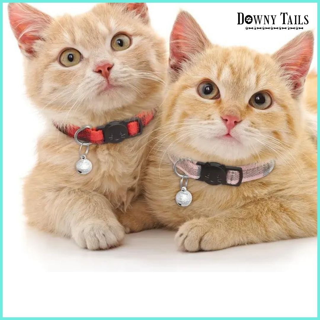 cat collar