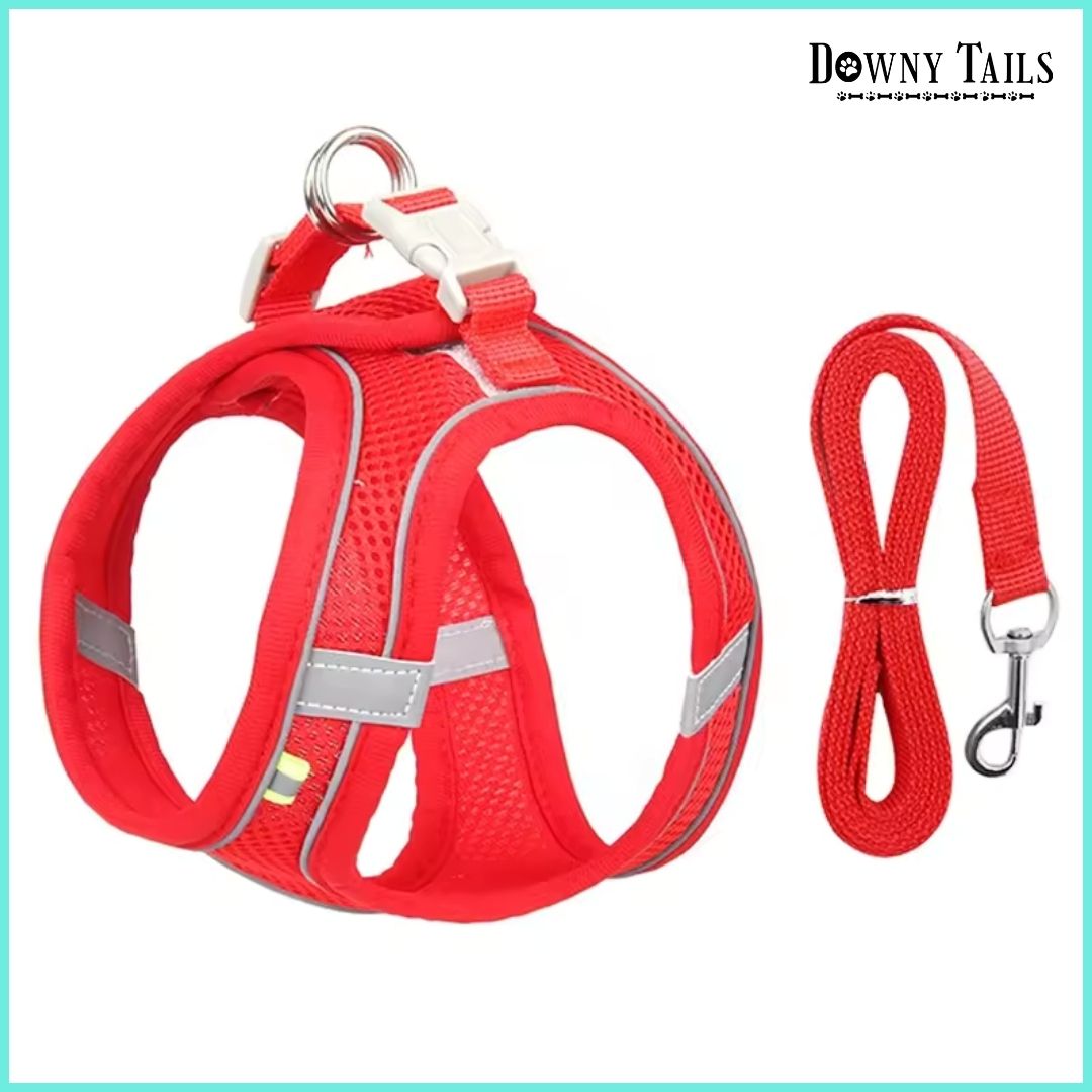  Chest Strap Vest