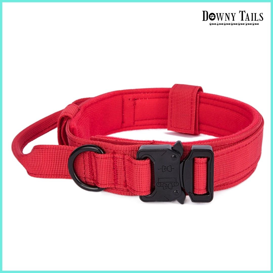 Pet Collar