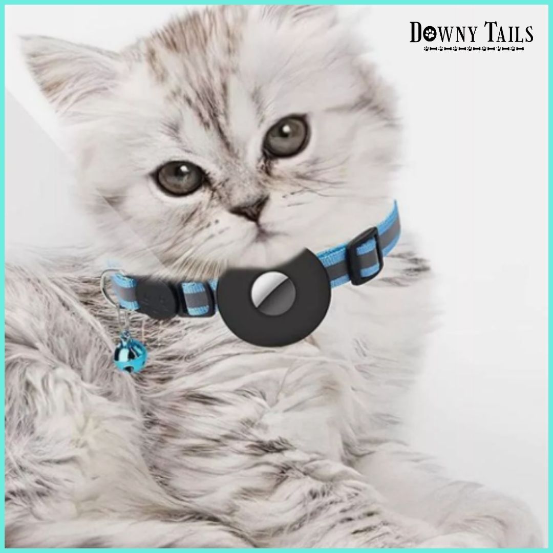 Cat Positioning Collar