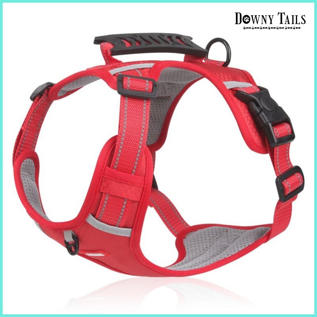 Pet Leash Vest