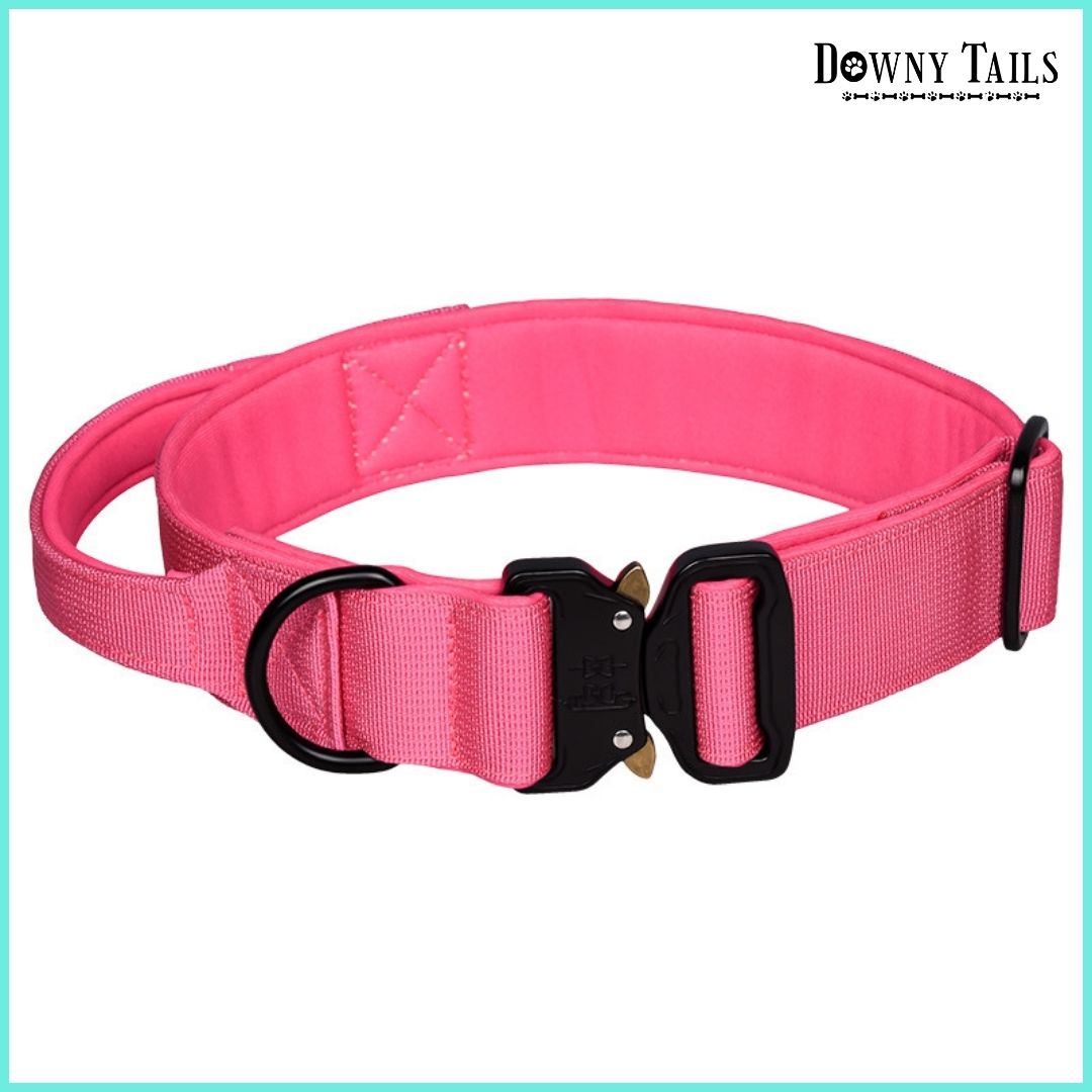 Pet Collar