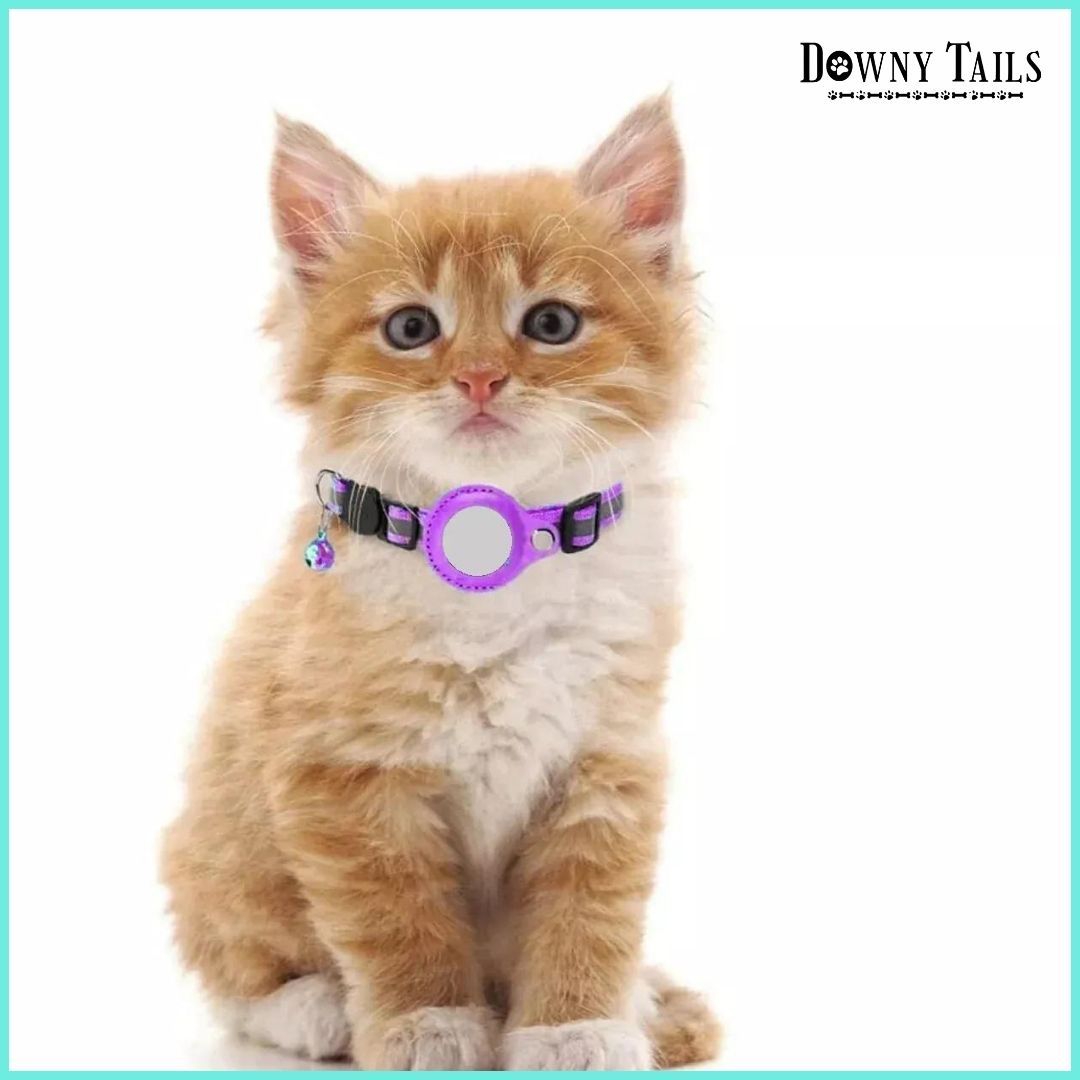 Cat Positioning Collar
