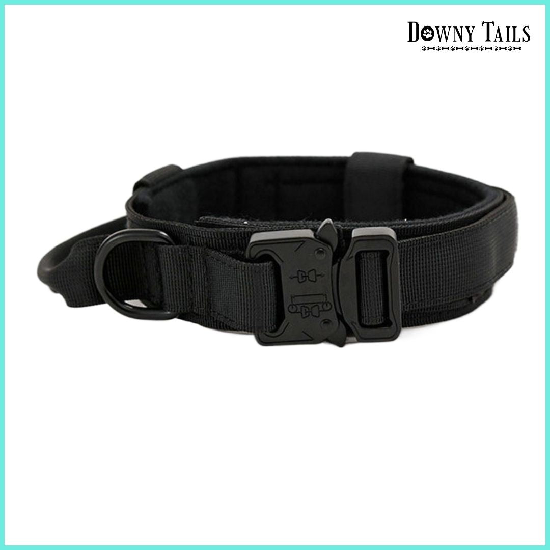 Pet Collar