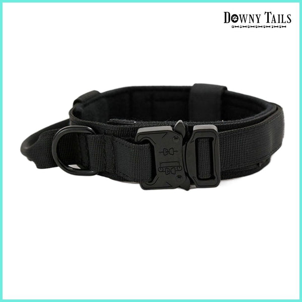 Pet Collar