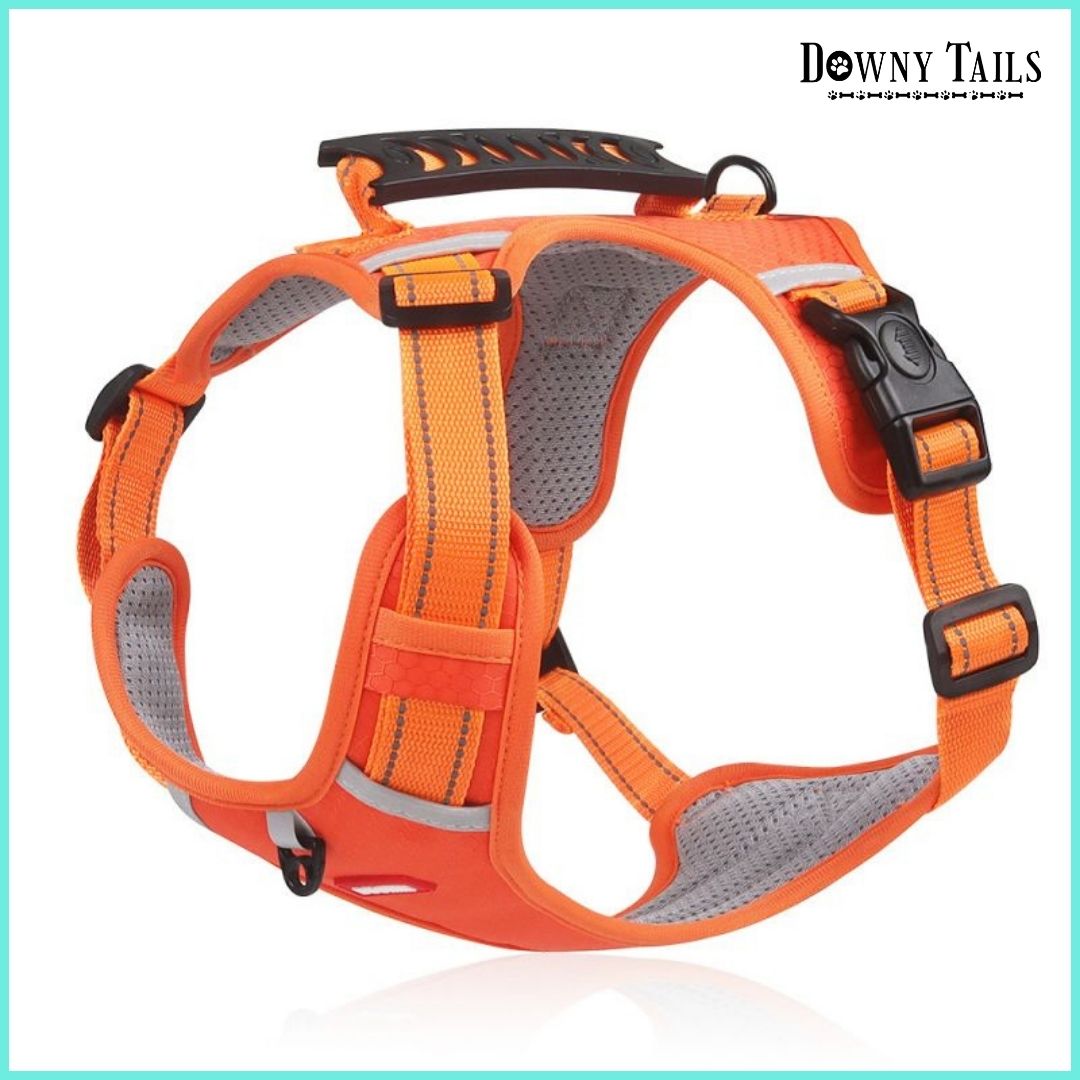 Pet Leash Vest