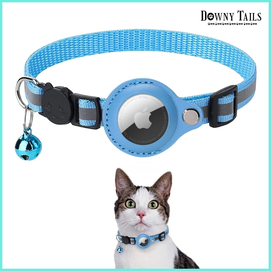 Cat Positioning Collar