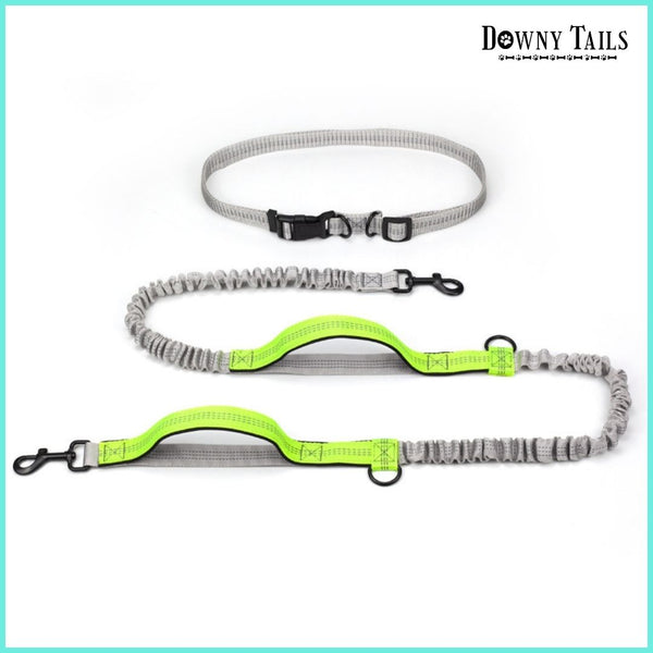 Pet Reflective Leash