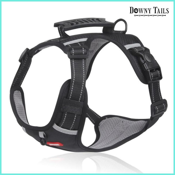 Pet Leash Vest