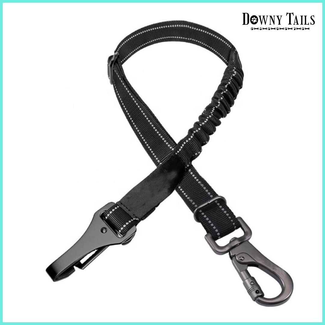  pet Seat Belt