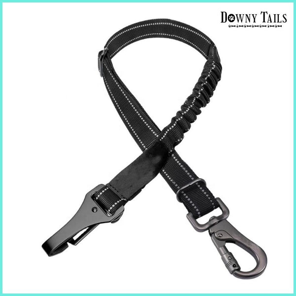  pet Seat Belt
