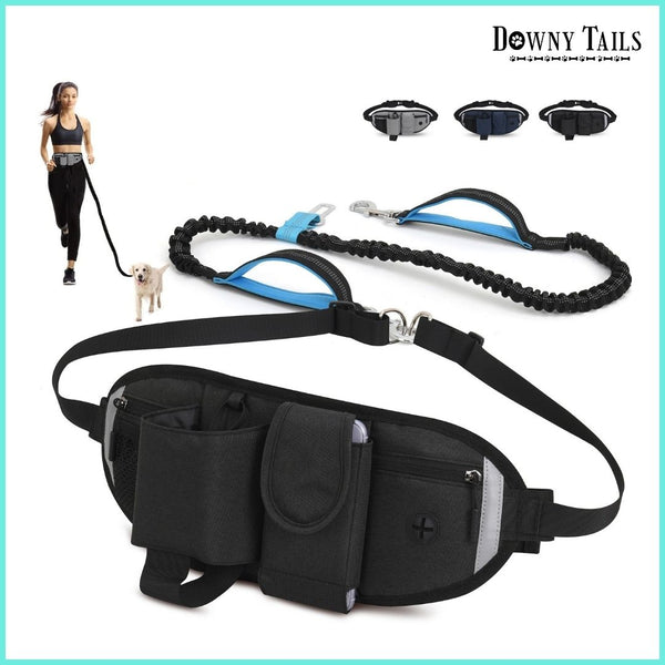 Pet Training Waist Bag