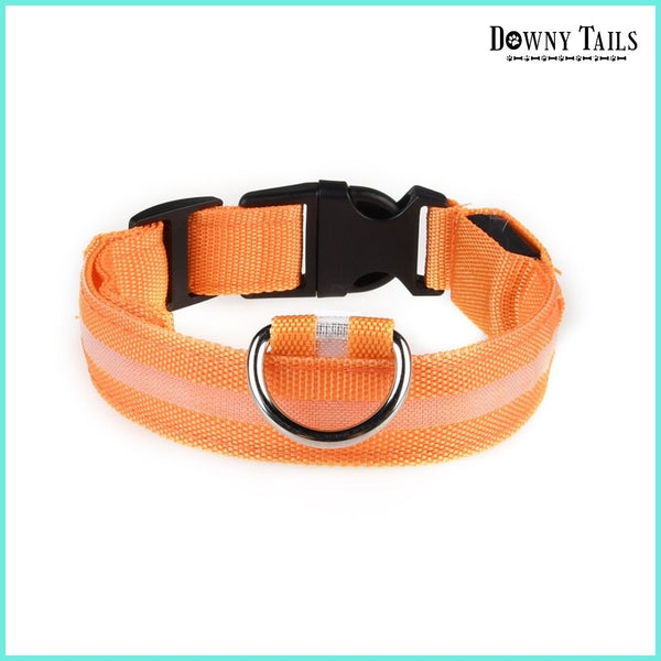 pet LED collar