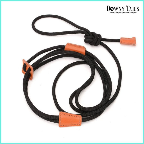 pet leash 