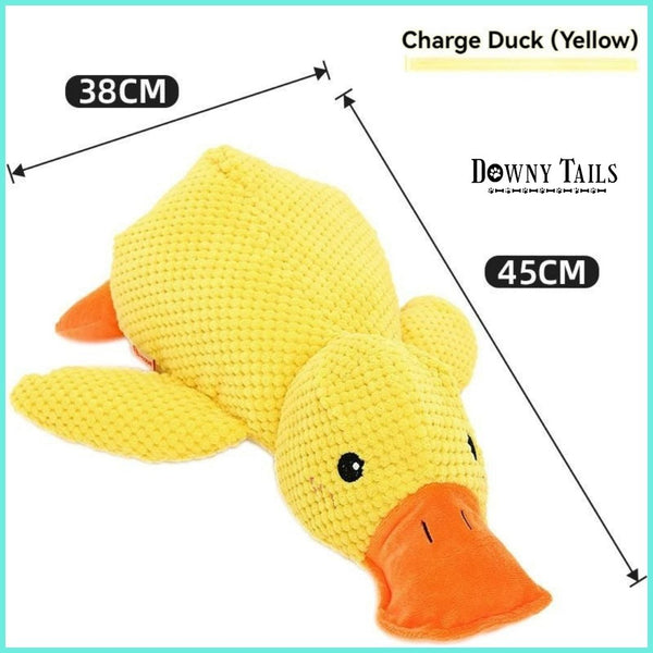Sound Sleeping Duck