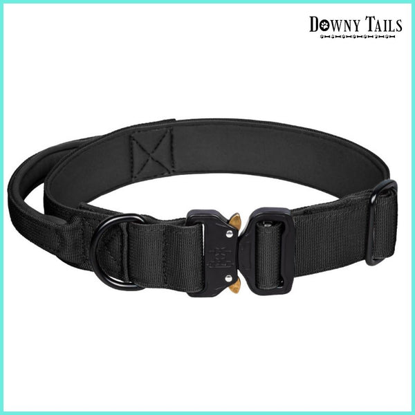 Pet Collar