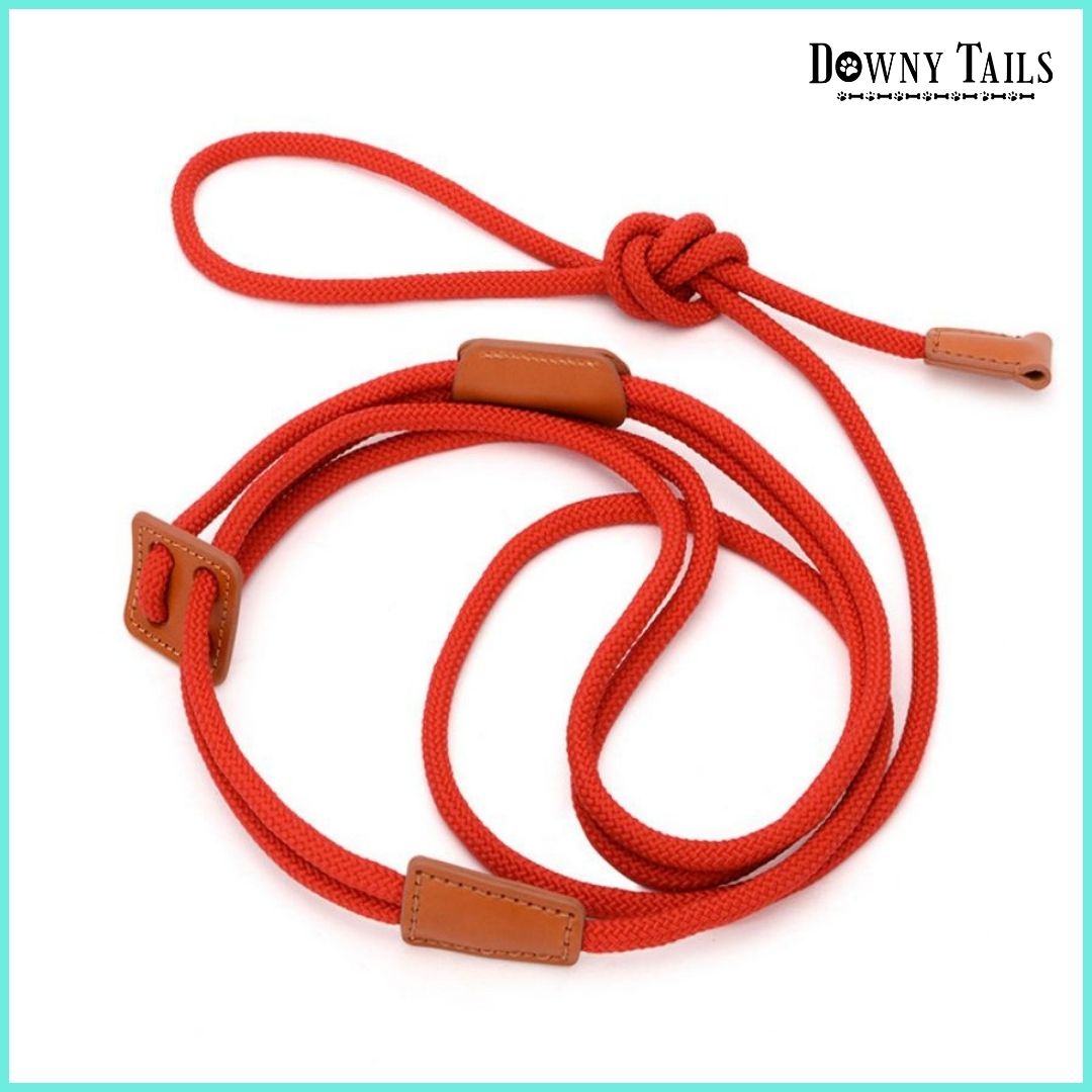 pet leash 