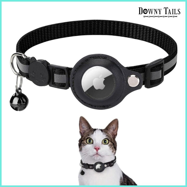 Cat Positioning Collar