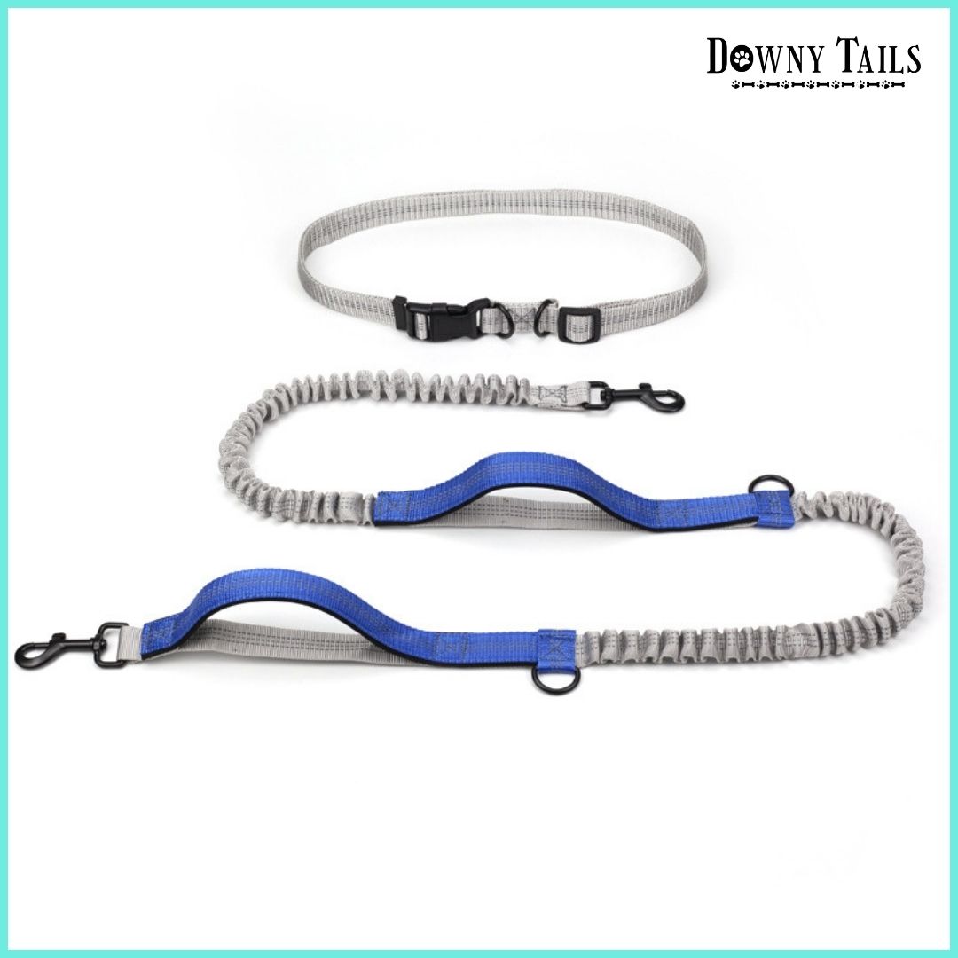 Pet Reflective Leash