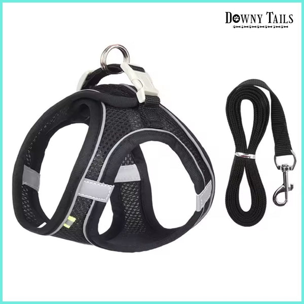  Chest Strap Vest