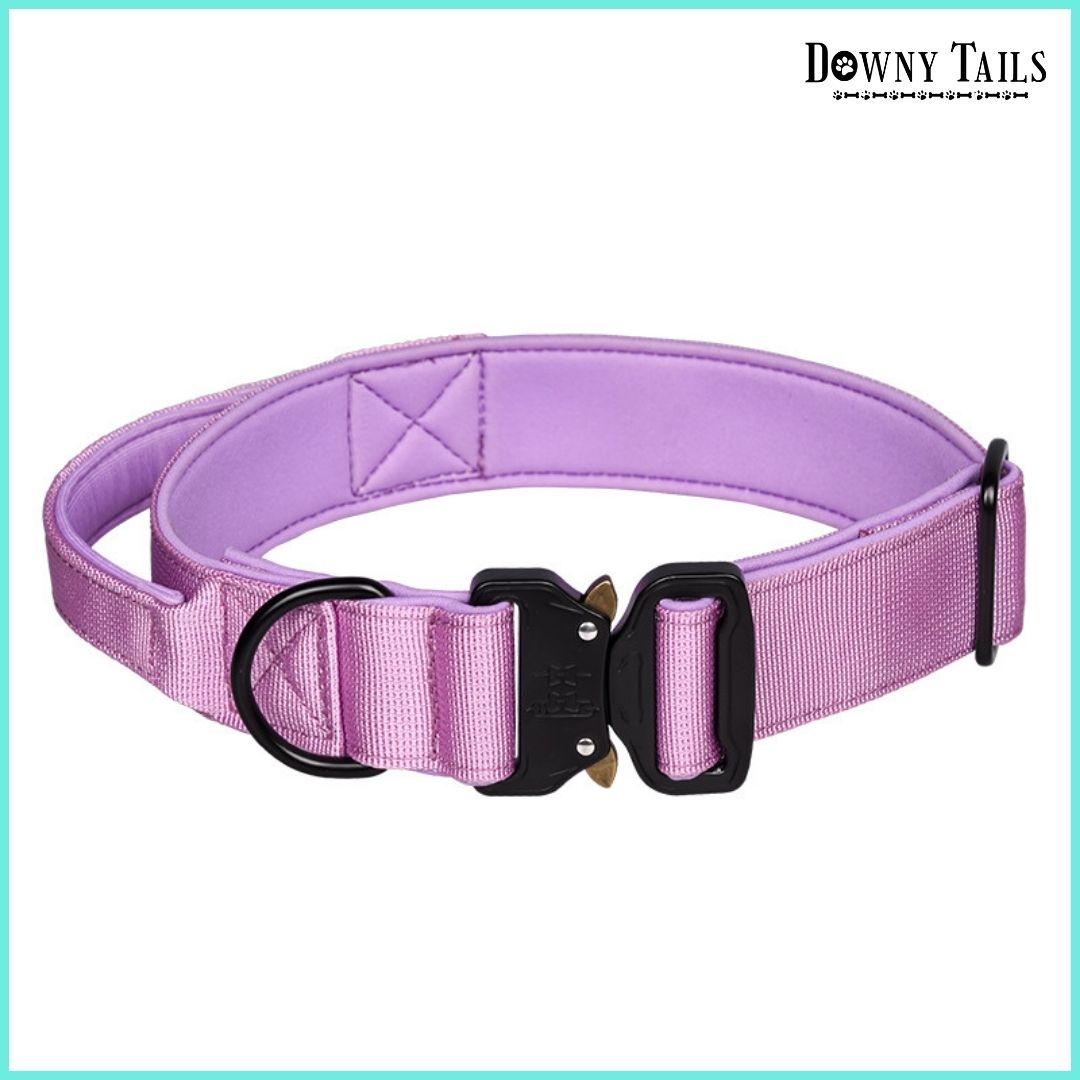 Pet Collar