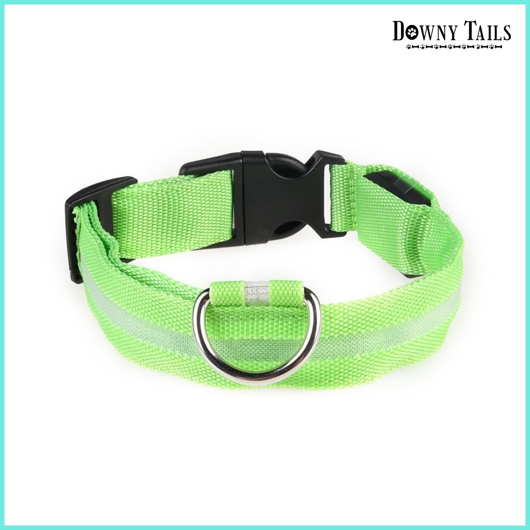 pet LED collar