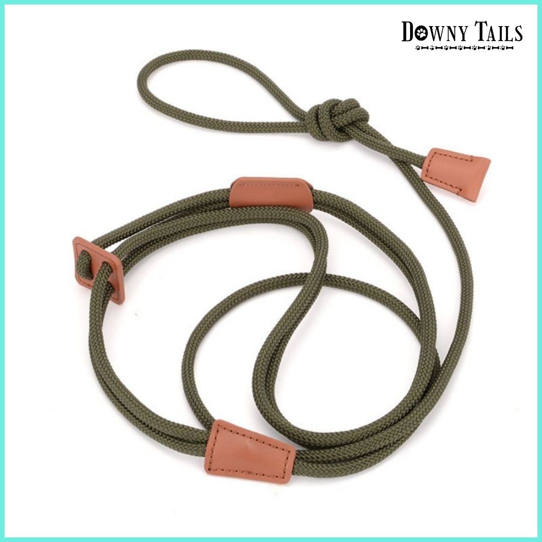pet leash 