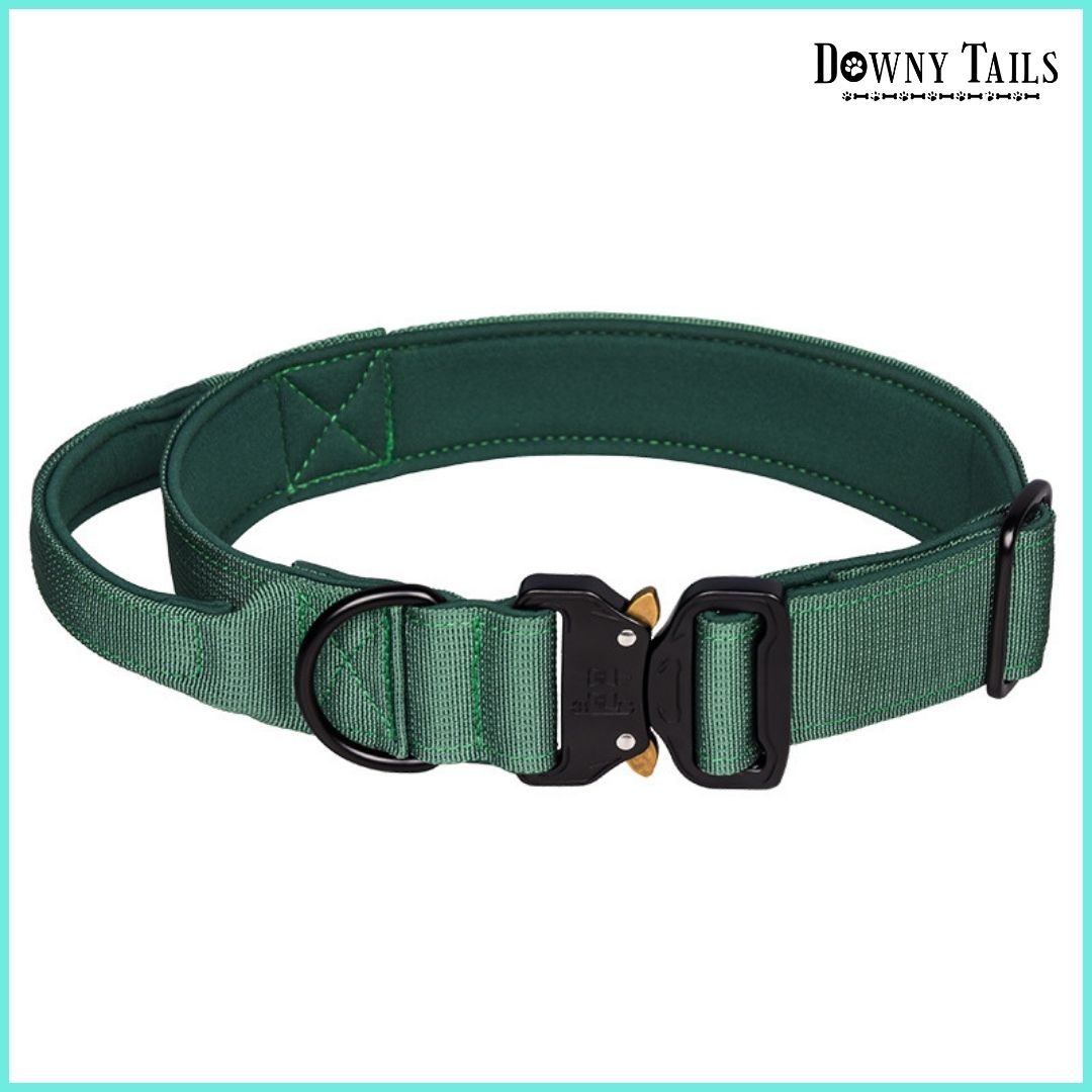 Pet Collar