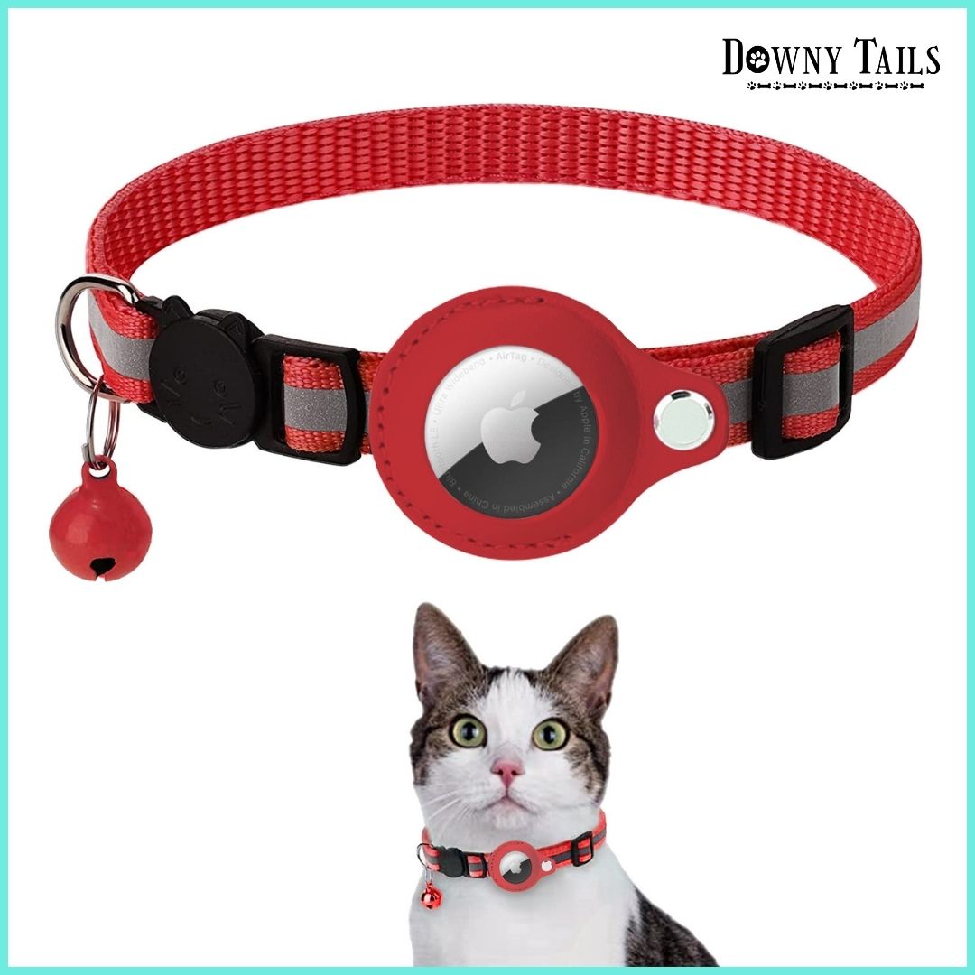 Cat Positioning Collar