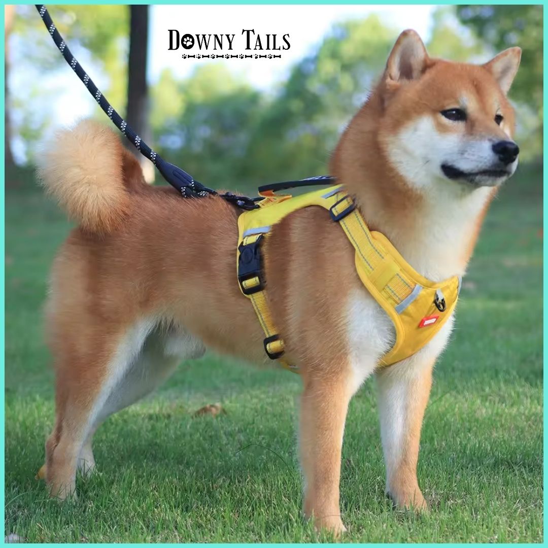 Pet Leash Vest