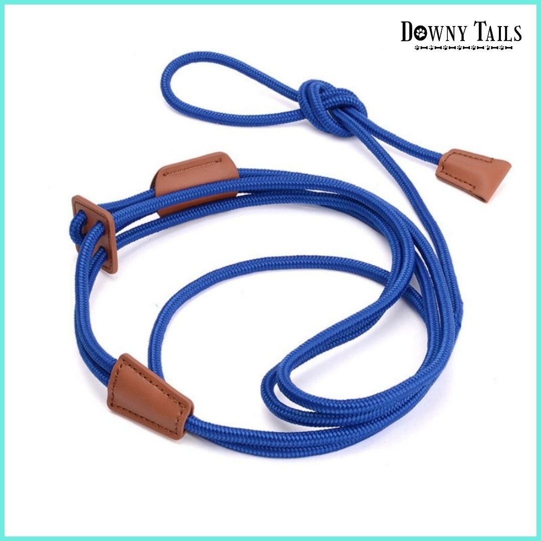 pet leash 