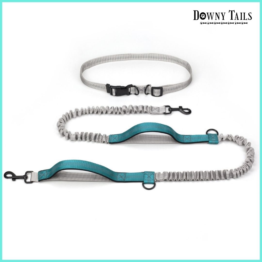 Pet Reflective Leash