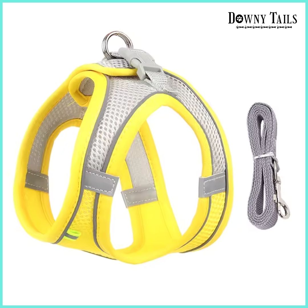  Chest Strap Vest