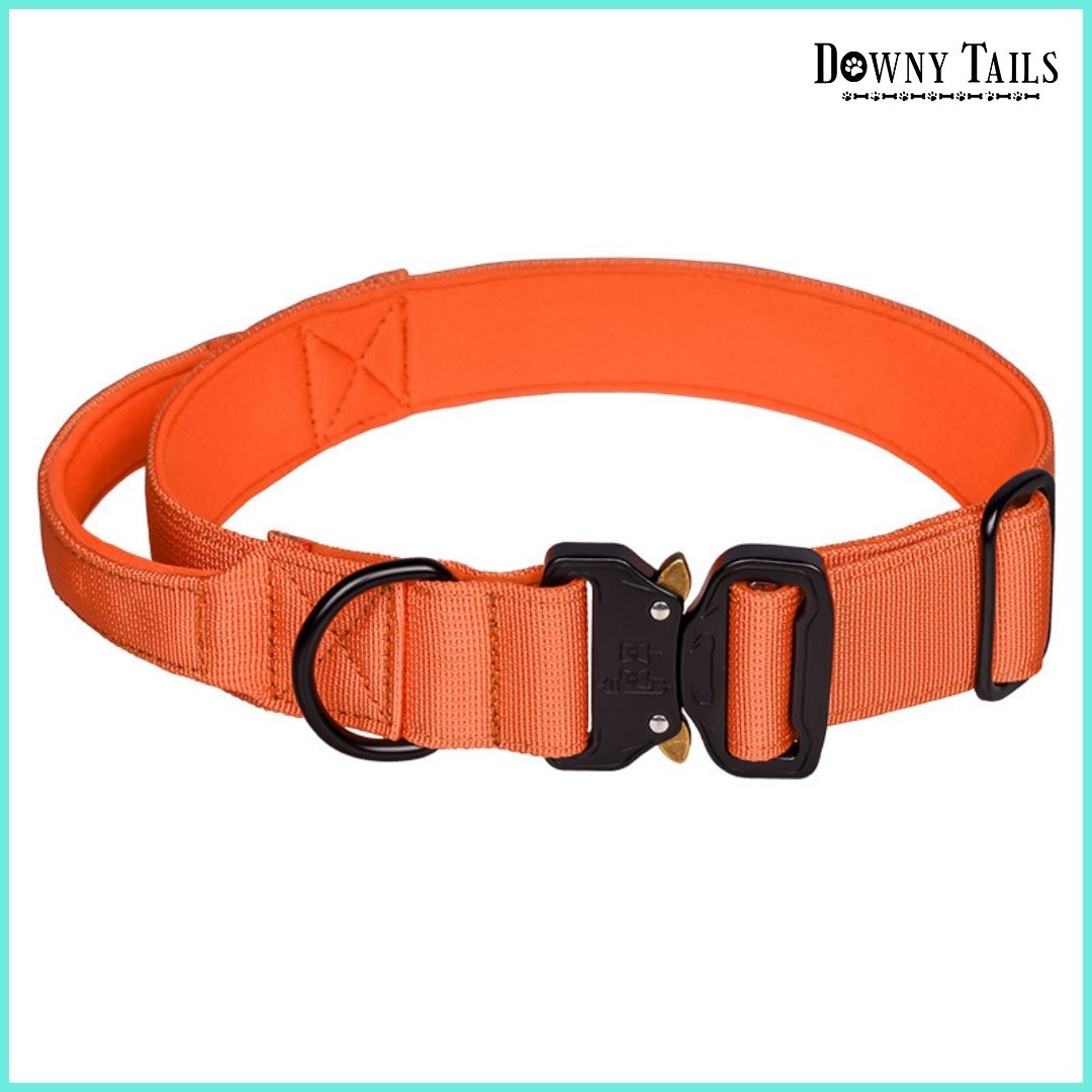 Pet Collar