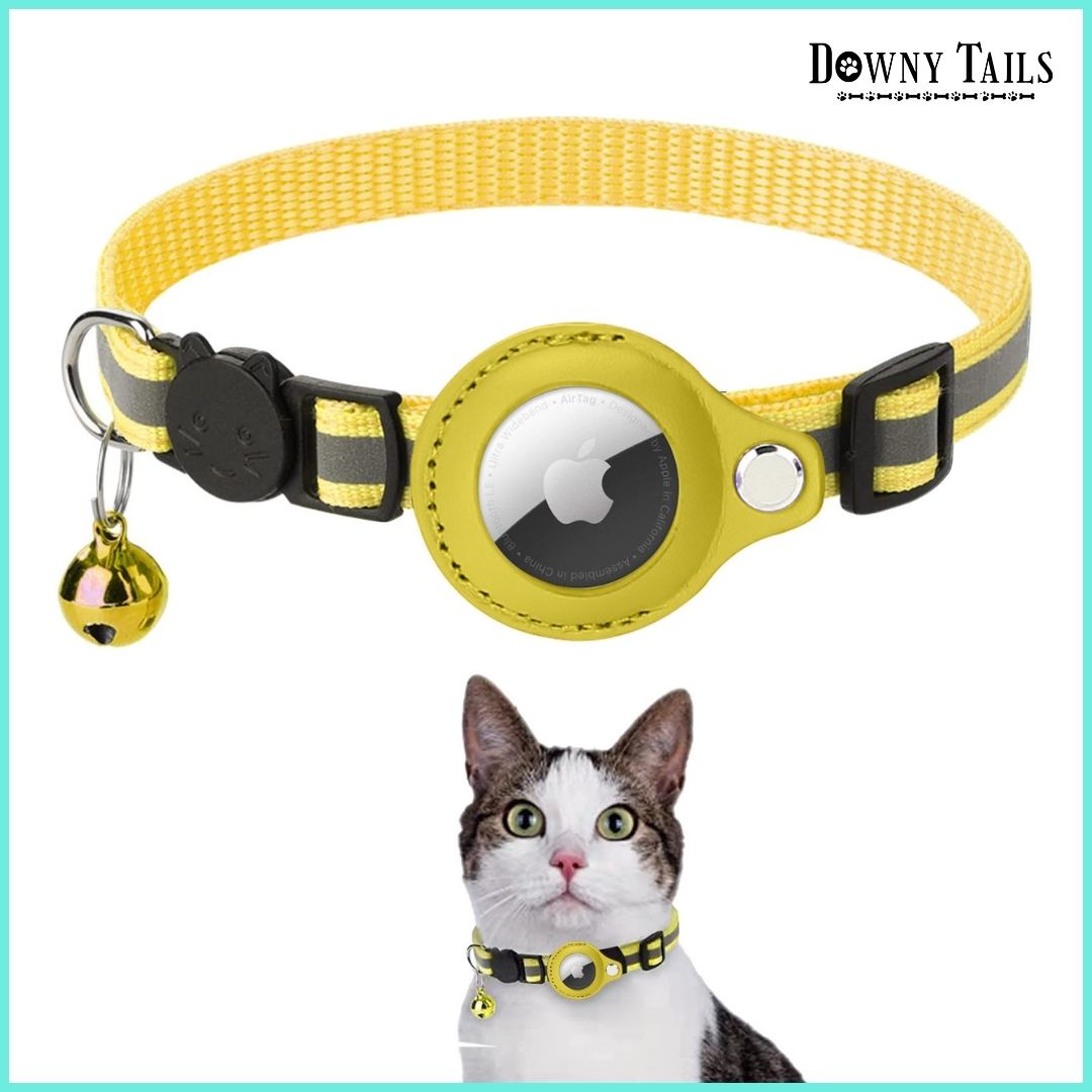 Cat Positioning Collar