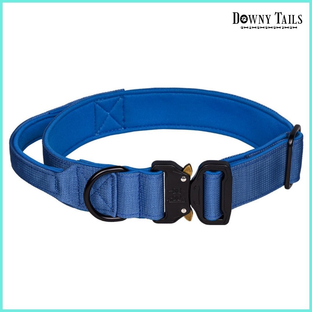 Pet Collar