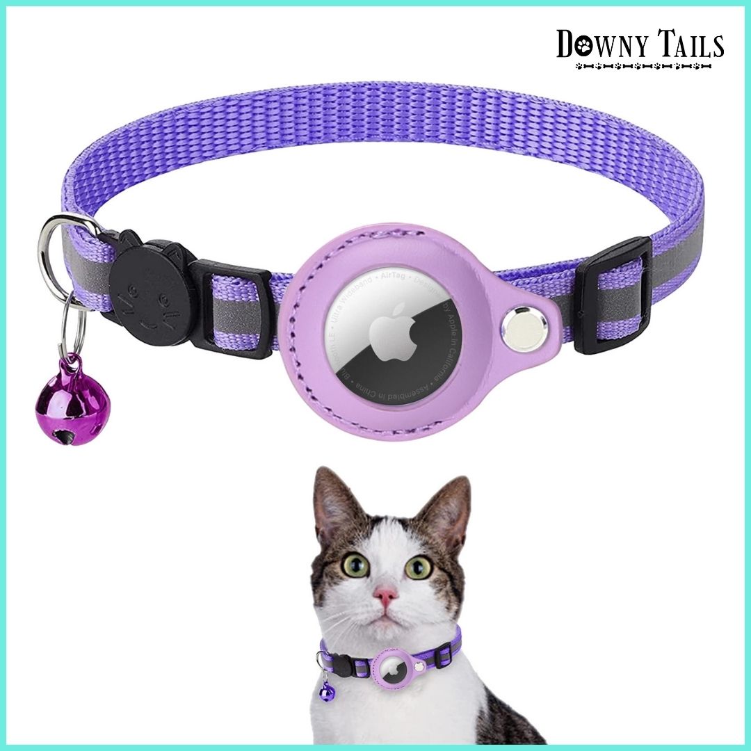 Cat Positioning Collar