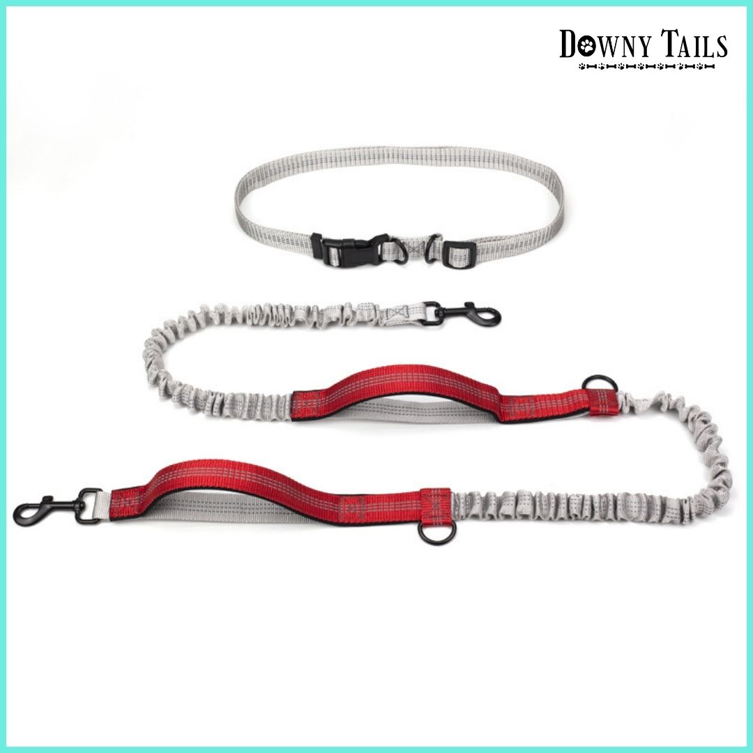 Pet Reflective Leash