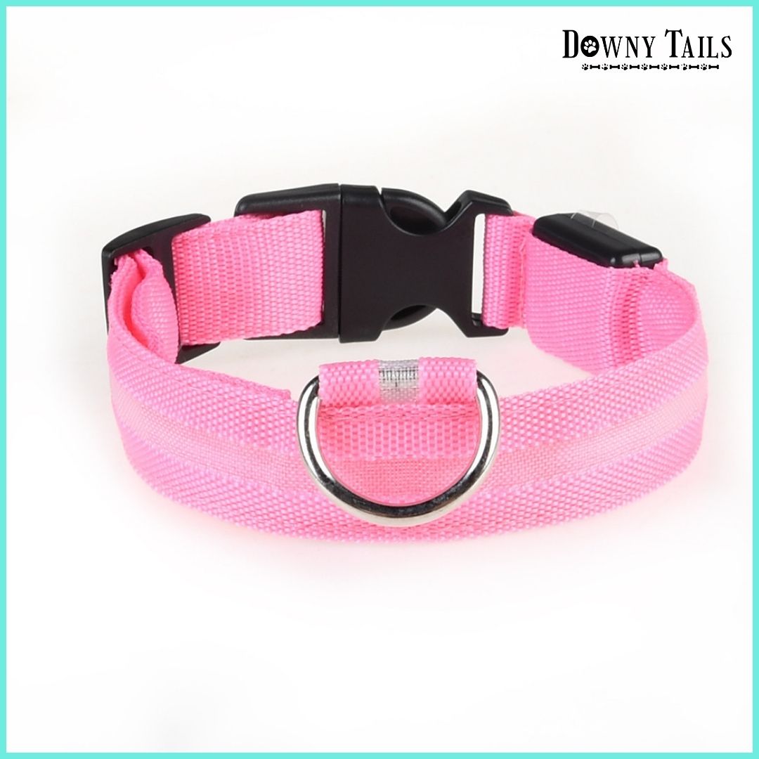 pet LED collar