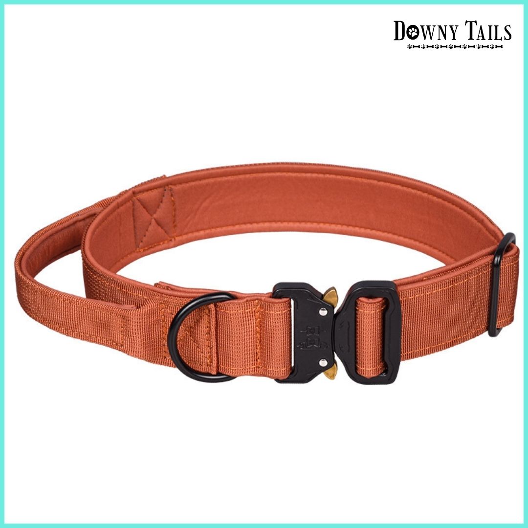 Pet Collar