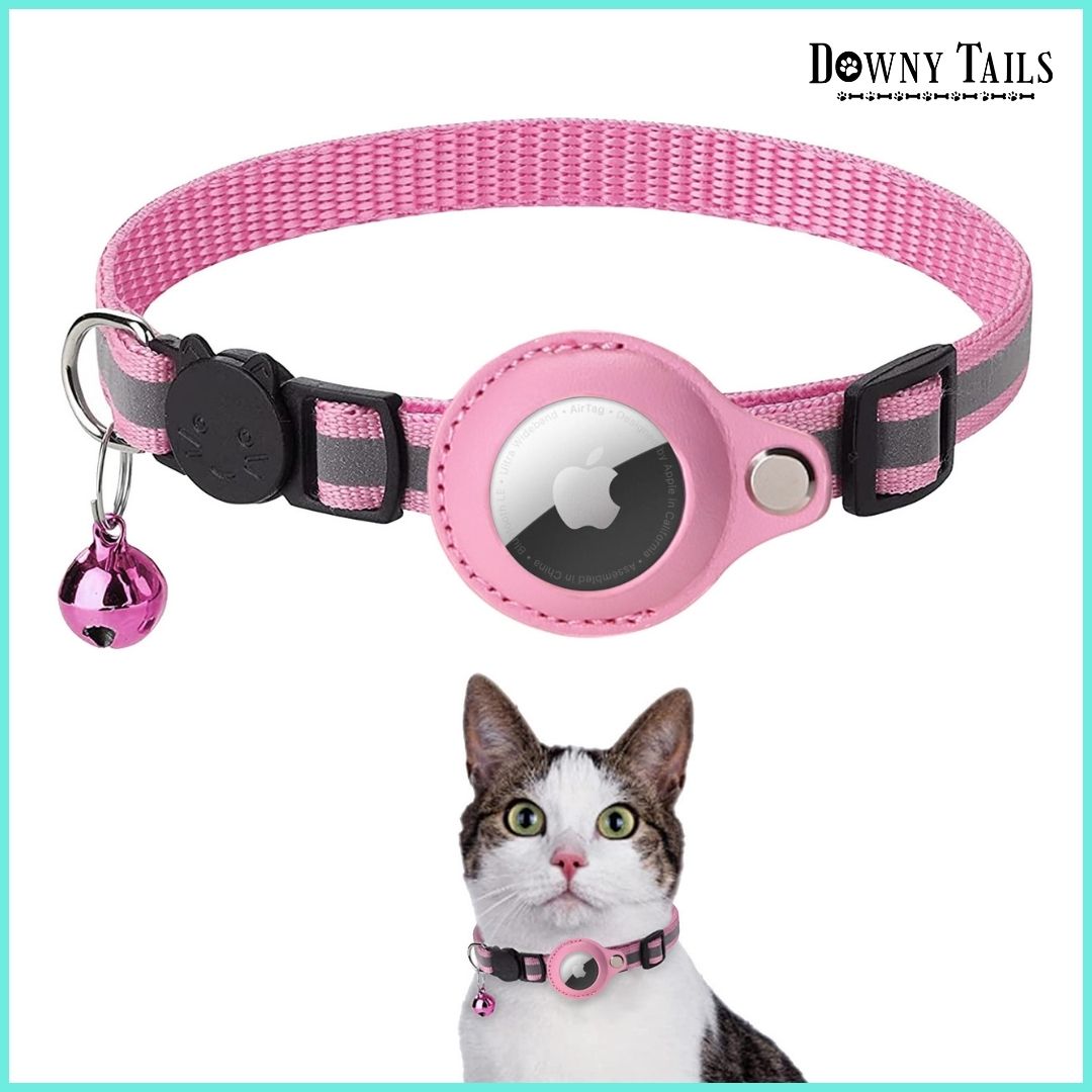 Cat Positioning Collar