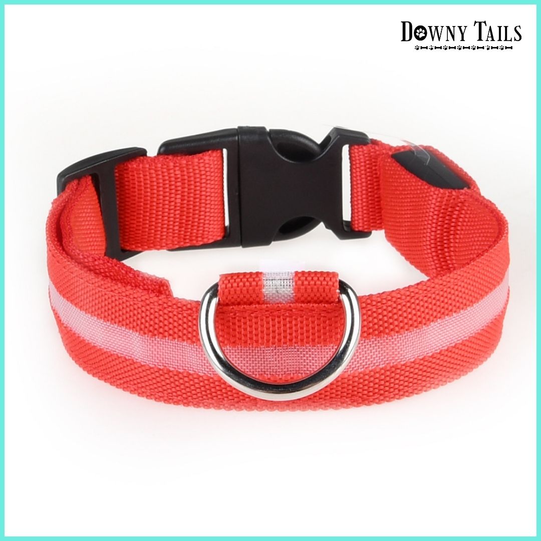 pet LED collar