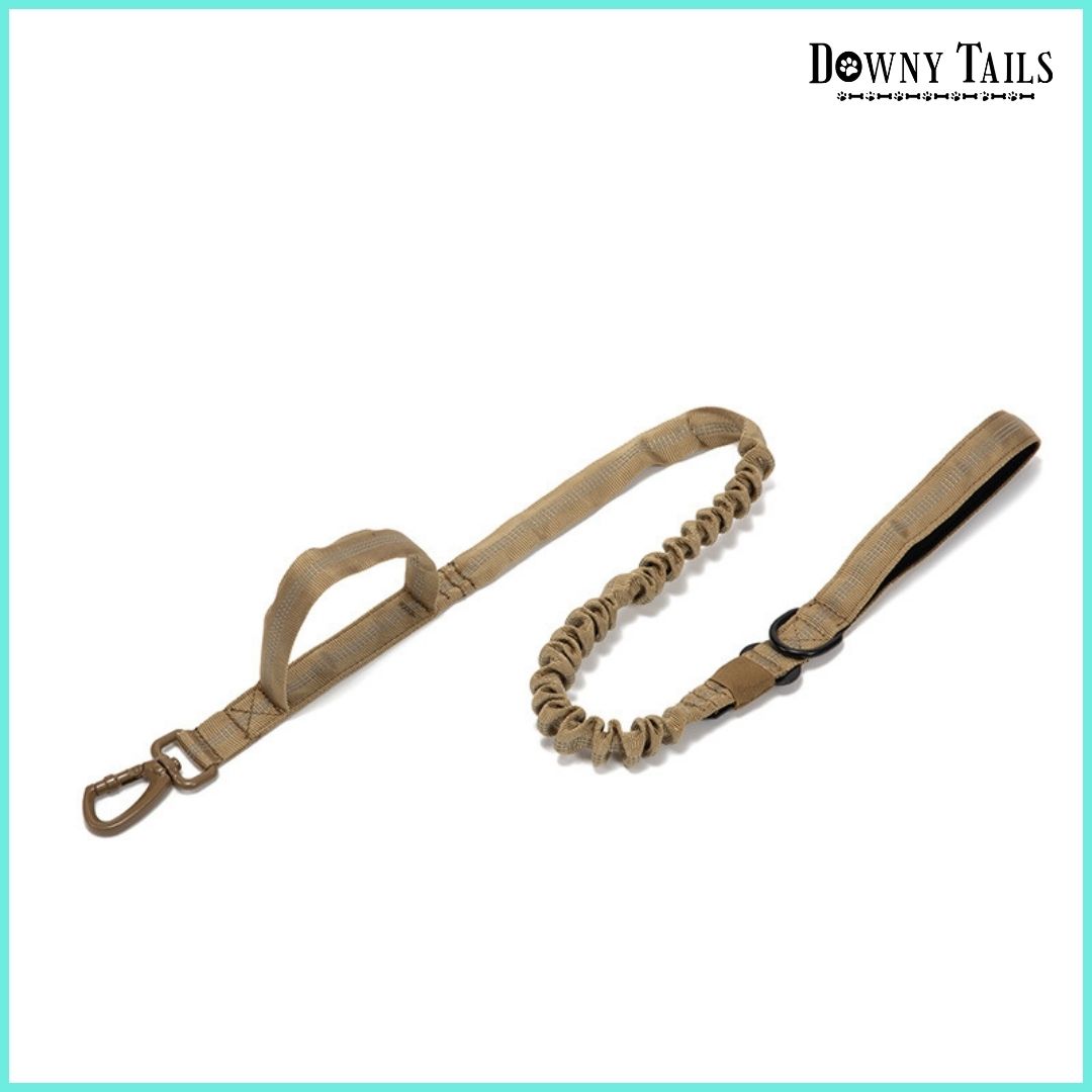 Pet Leash