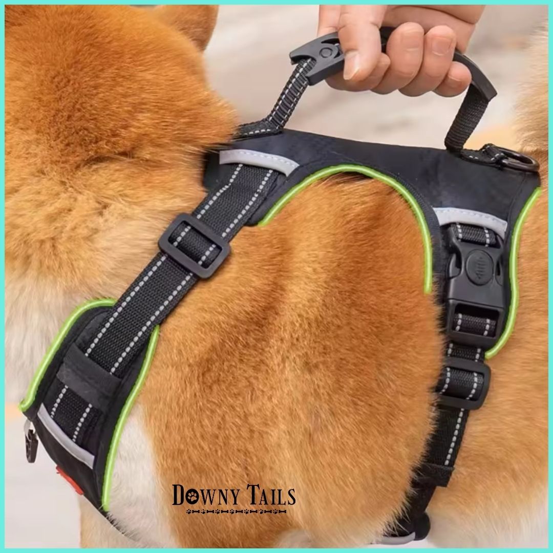 Pet Leash Vest