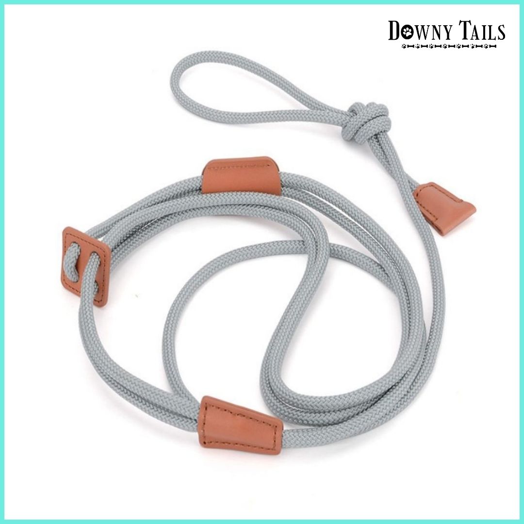 pet leash 