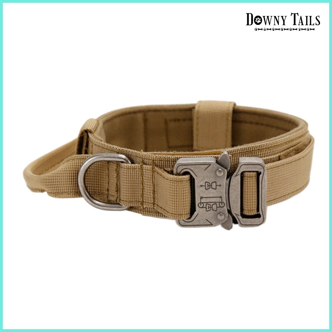 Pet Collar