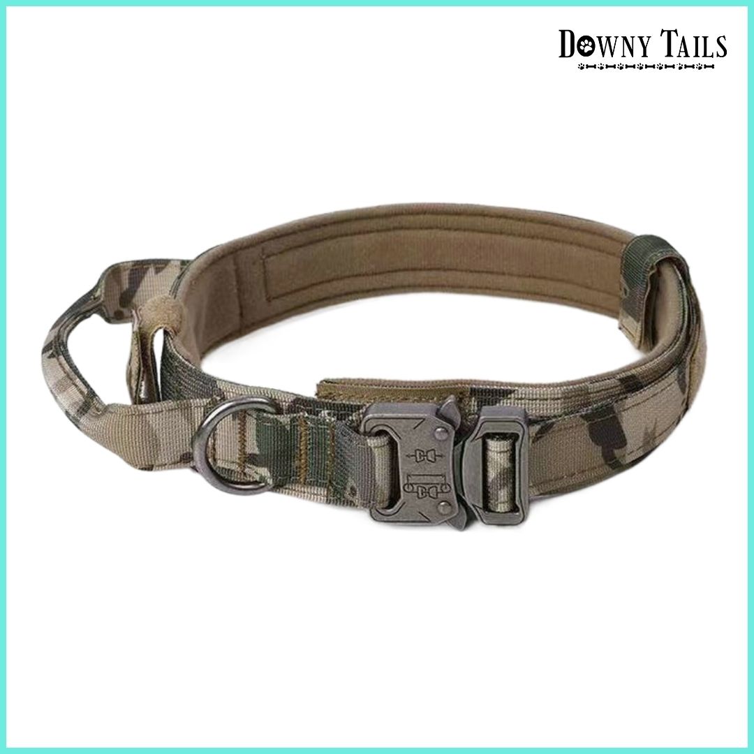 Pet Collar