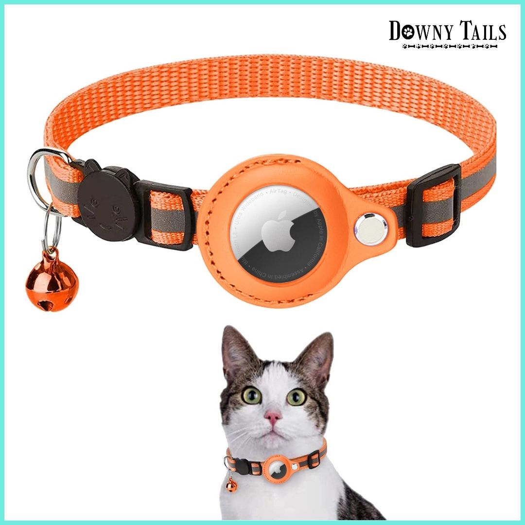 Cat Positioning Collar