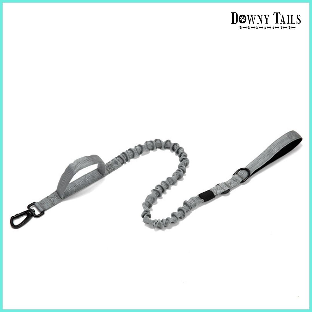 Pet Leash